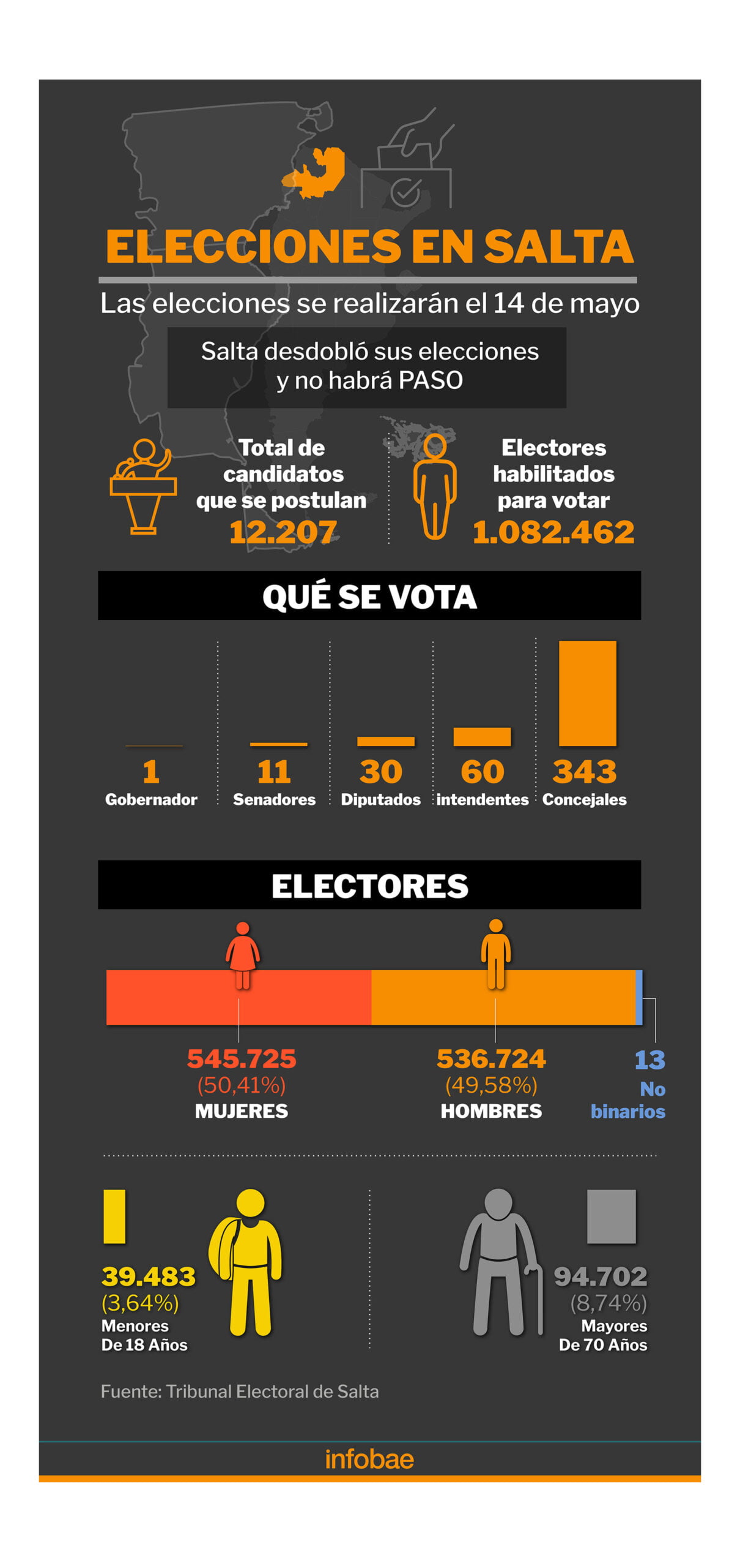 Elecciones SALTA INFO
